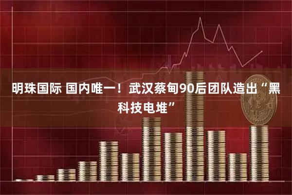 明珠国际 国内唯一！武汉蔡甸90后团队造出“黑科技电堆”